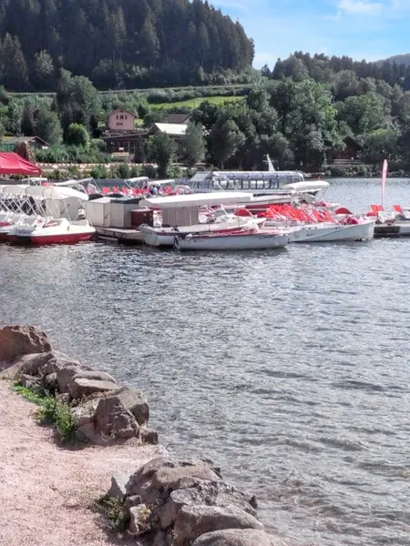 Studio 35 m² vue lac et montagne à Gérardmer avec terrasse : photo 25