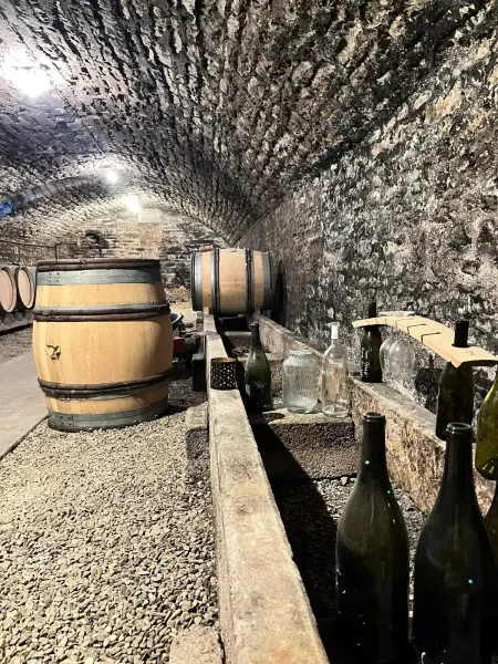 Maison avec jardin clos, cheminée et barbecue à Meursault : photo 18