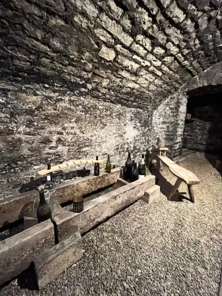 Maison avec jardin clos, cheminée et barbecue à Meursault : photo 21