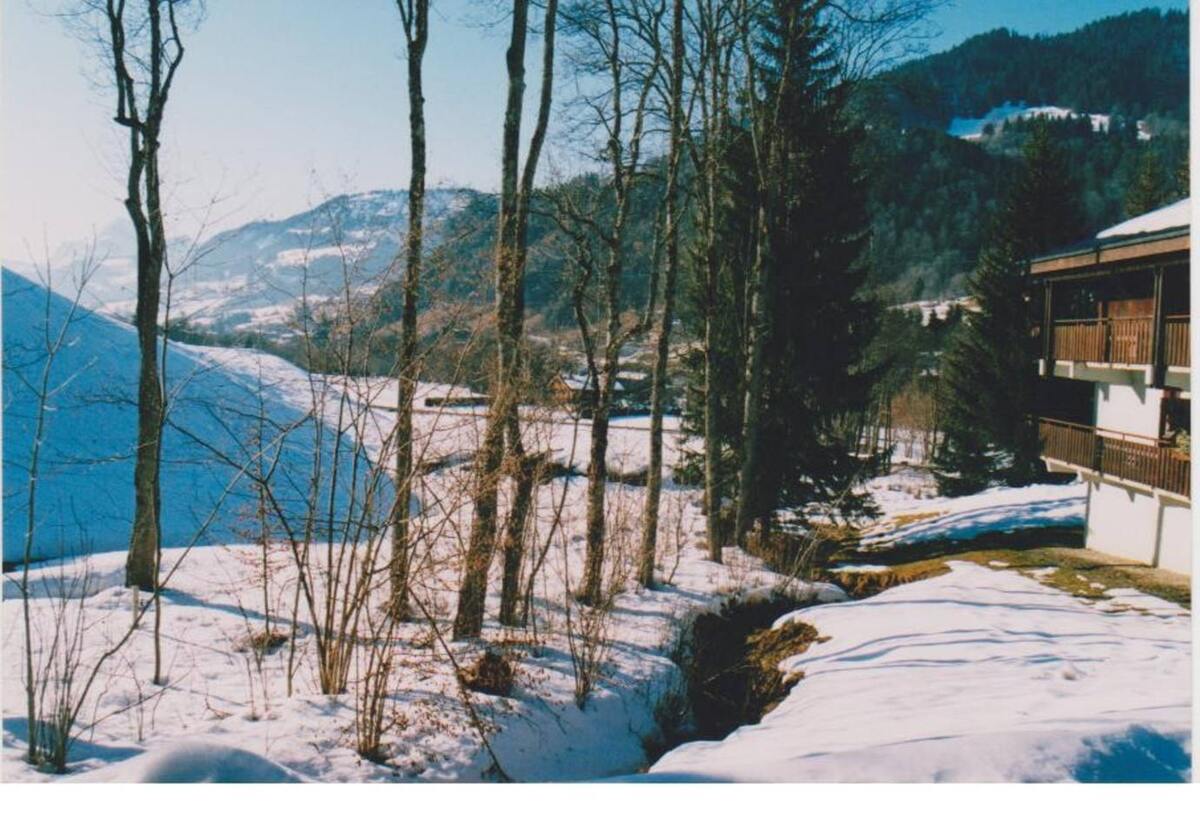 Appartement 8 personnes à Megève, balcon 19 m² - Photo 26