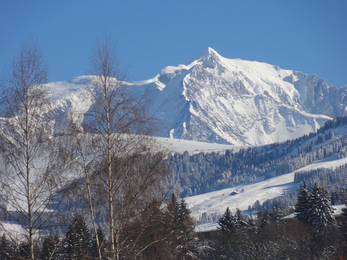 Appartement 8 personnes à Megève, balcon 19 m² - Photo 30