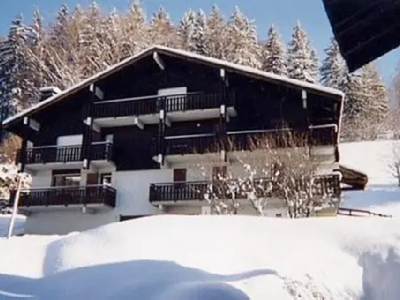 Location appartement à Megève, Appartement confortable à Megève - 60 m² - vue sur montagnes