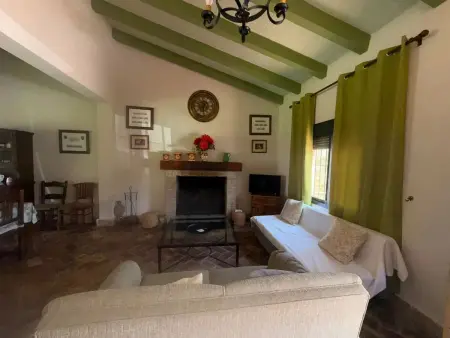 Villa avec piscine privée et jardin clos à Puerto Serrano : photo 14