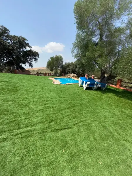 Villa avec piscine privée et jardin clos à Puerto Serrano : photo 24