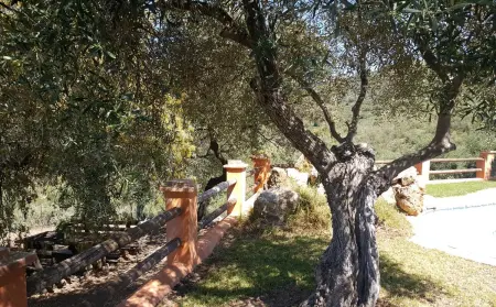 Villa avec piscine privée et jardin clos à Puerto Serrano : photo 27