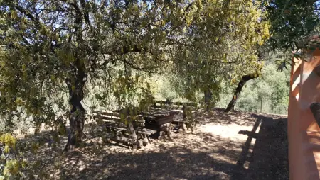 Villa avec piscine privée et jardin clos à Puerto Serrano : photo 28