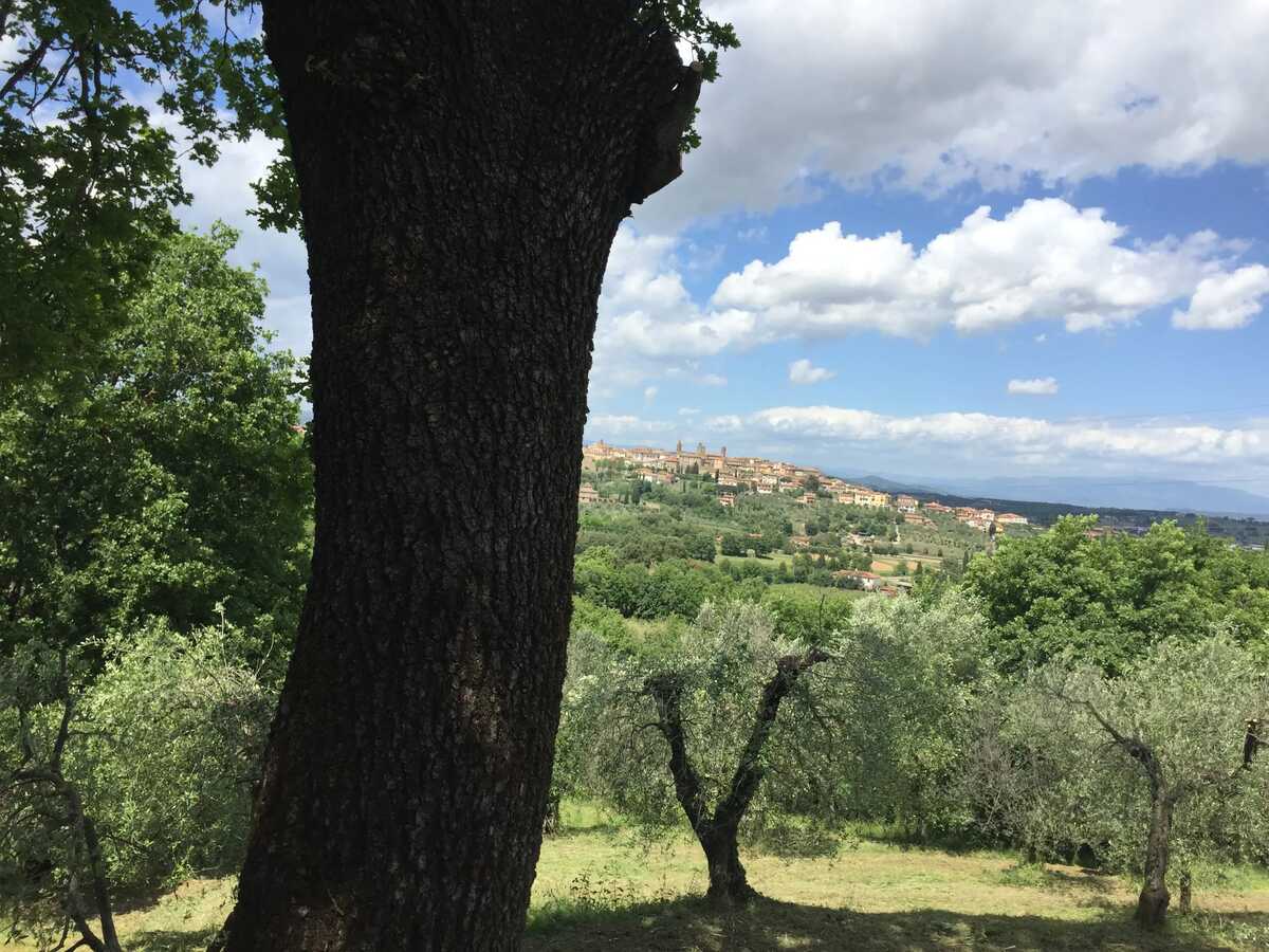 Maison 1 chambre avec piscine à Monte San Savino - Photo 47