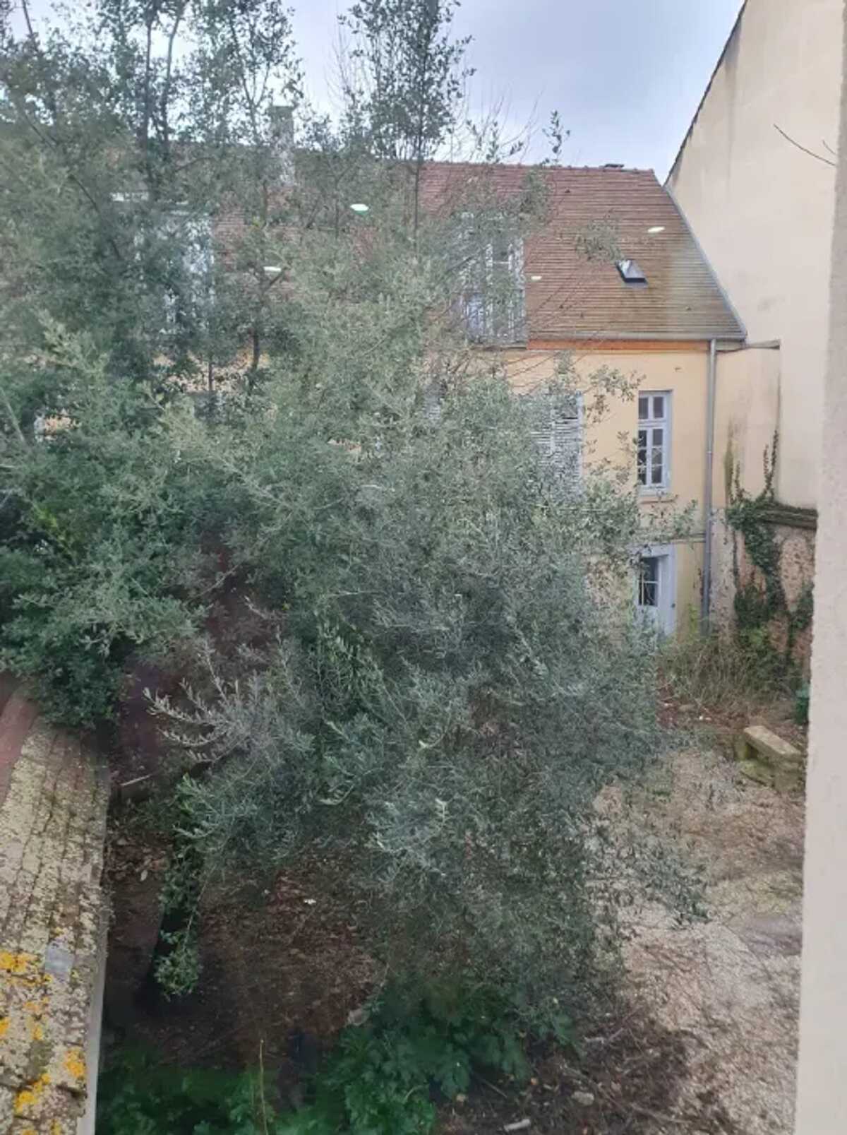 Appartement 56 m² avec vue jardin à Limeil-Brévannes - Photo 1
