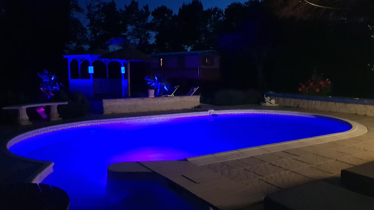 Maison 30 m² avec piscine à Bussac-Forêt - Photo 8
