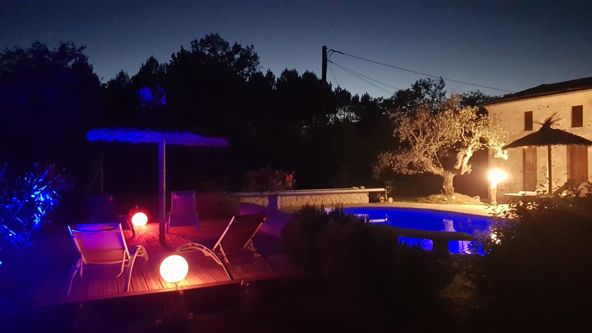 Maison 30 m² avec piscine à Bussac-Forêt - Photo 13
