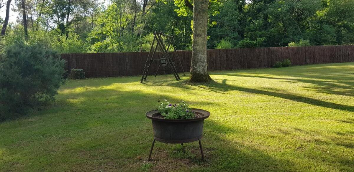 Maison 30 m² avec piscine à Bussac-Forêt - Photo 14