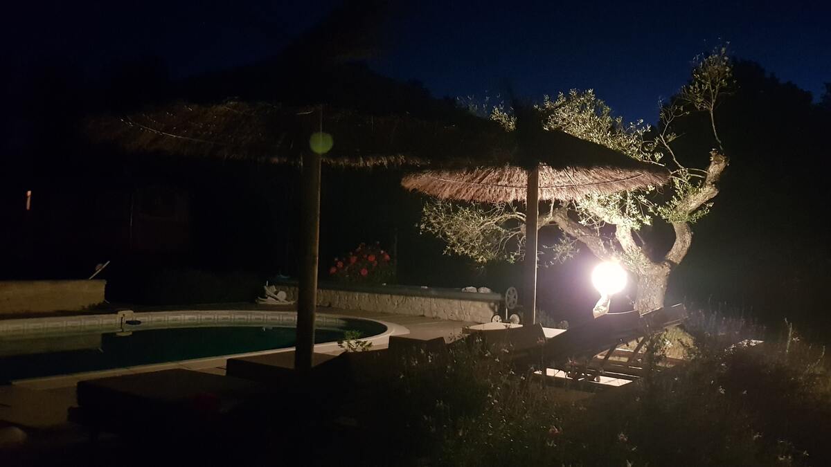 Maison 30 m² avec piscine à Bussac-Forêt - Photo 19