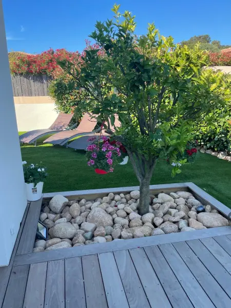 Villa élégante à Porto-Vecchio avec piscine privée - Photo 7