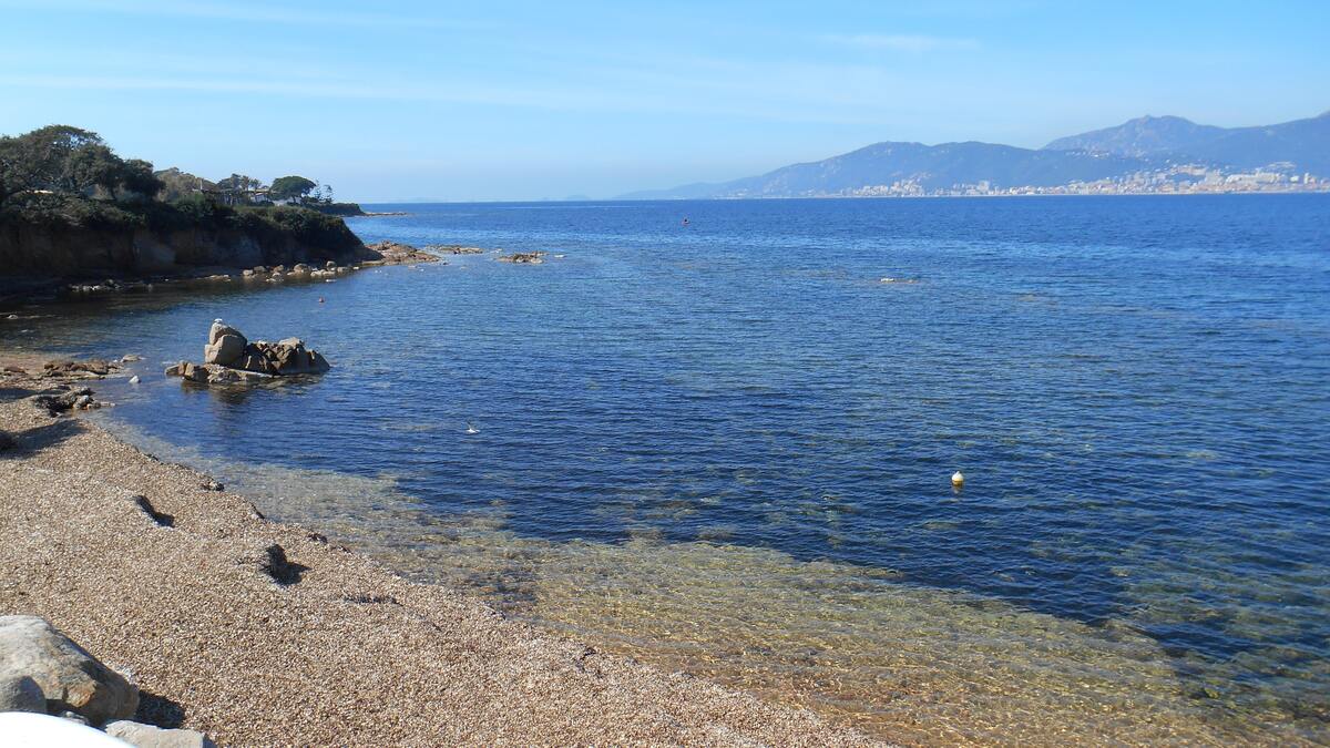 Appartement 58 m² vue mer et montagnes à Grosseto-Prugna - Photo 3