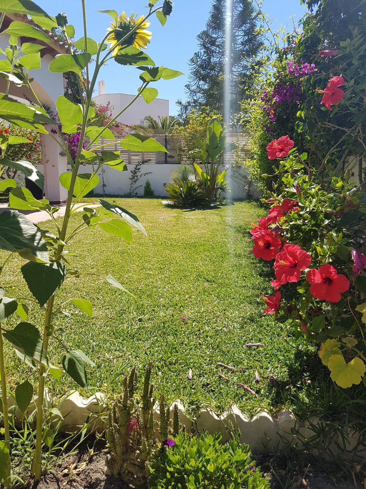 Maison 420 m² avec piscine et jacuzzi à Vera - Photo 38
