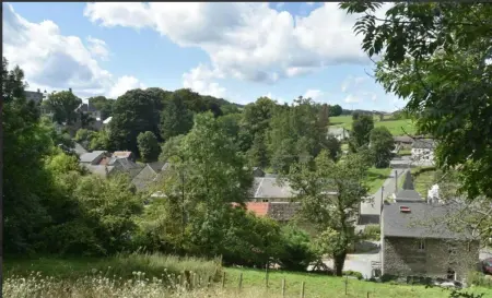 Manoir avec sauna, jardin clos et salle de jeux à Aywaille : photo 53
