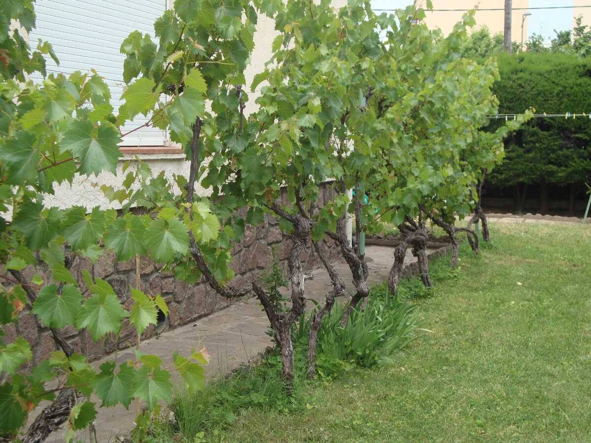 Appartement avec jardin et barbecue à Saint-Raphaël - Photo 13