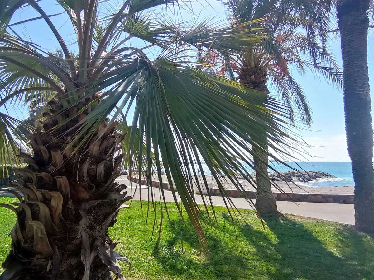 Appartement avec jardin et barbecue à Saint-Raphaël - Photo 16