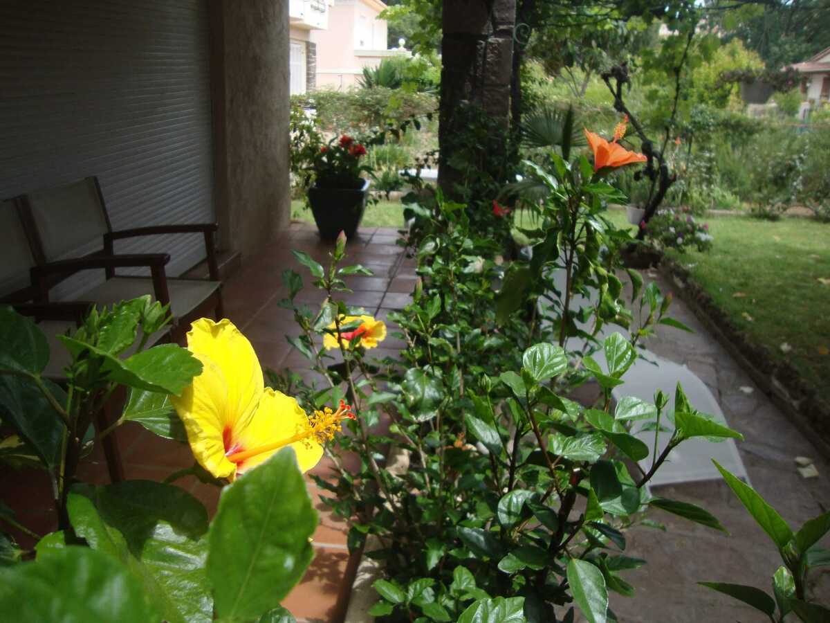 Appartement avec jardin et barbecue à Saint-Raphaël - Photo 29