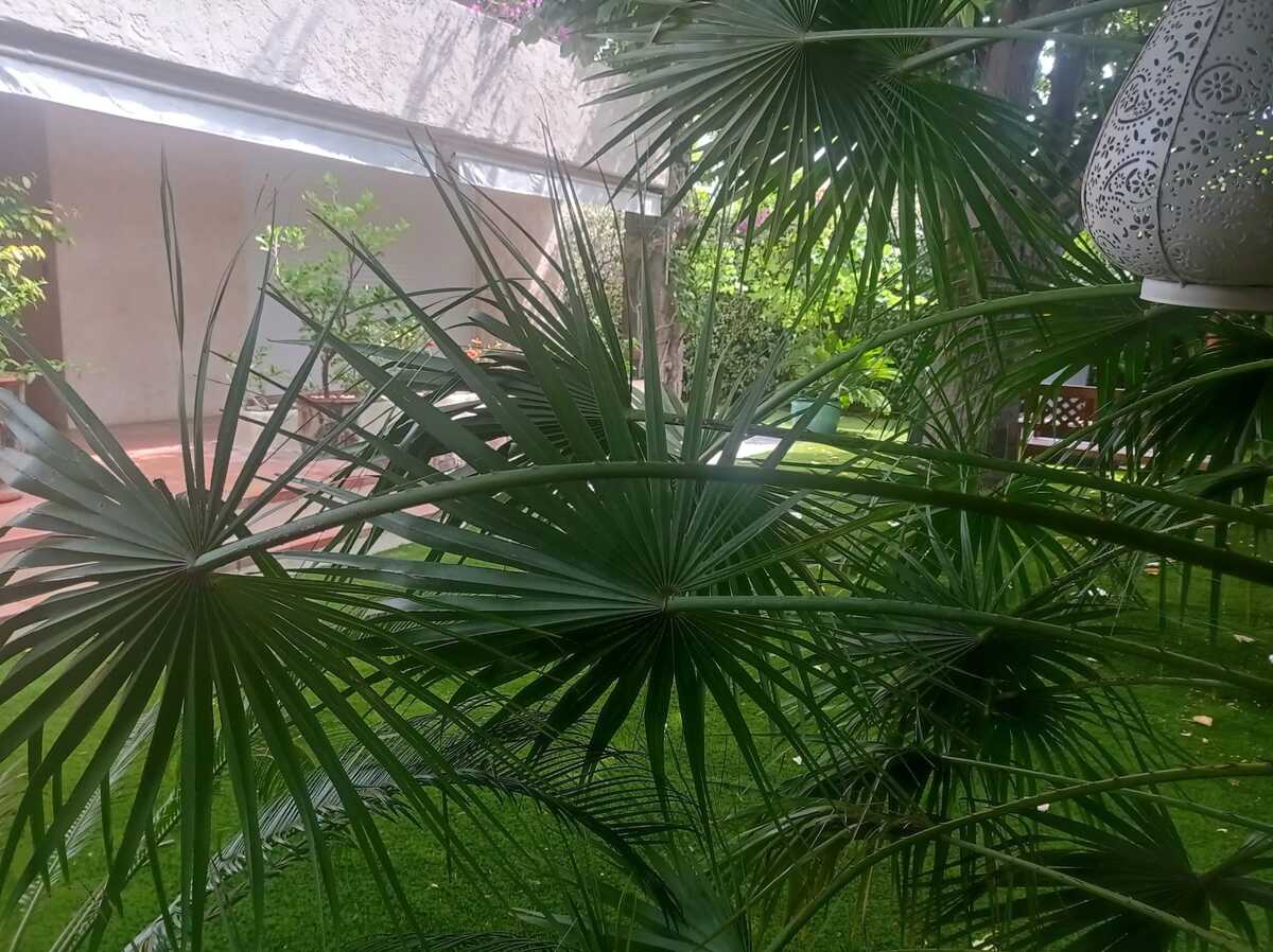 Appartement avec jardin et barbecue à Saint-Raphaël - Photo 30