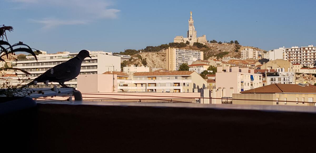Studio 25 m² avec terrasse vue mer à Marseille - Photo 35