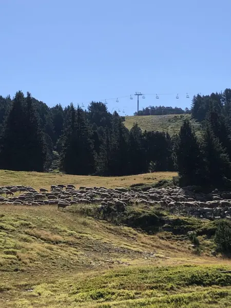 Appartement 34 m² à Chamrousse avec balcon et vue montagne : photo 24