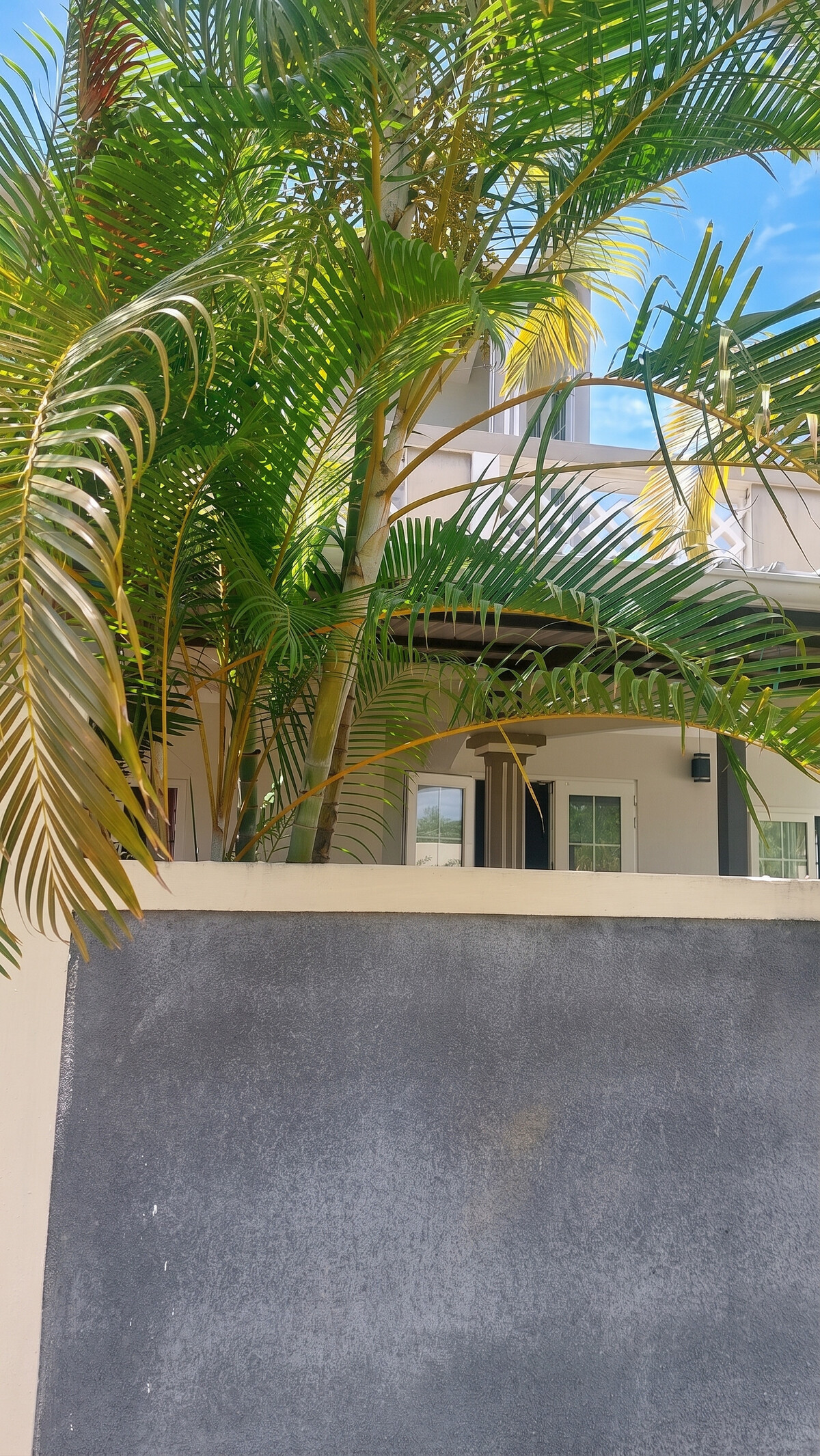 Villa 6 chambres avec piscine privée à Grand Baie - Photo 8