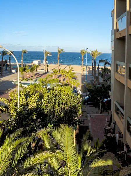 Appartement avec vue mer et balcon à Saint-Cyprien, 24 m² : photo 5