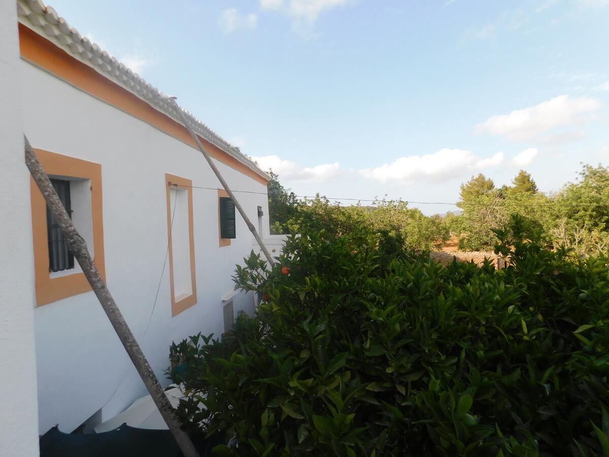 Villa 8 pers. avec piscine privée à Sant Miquel de Balansat - Photo 42