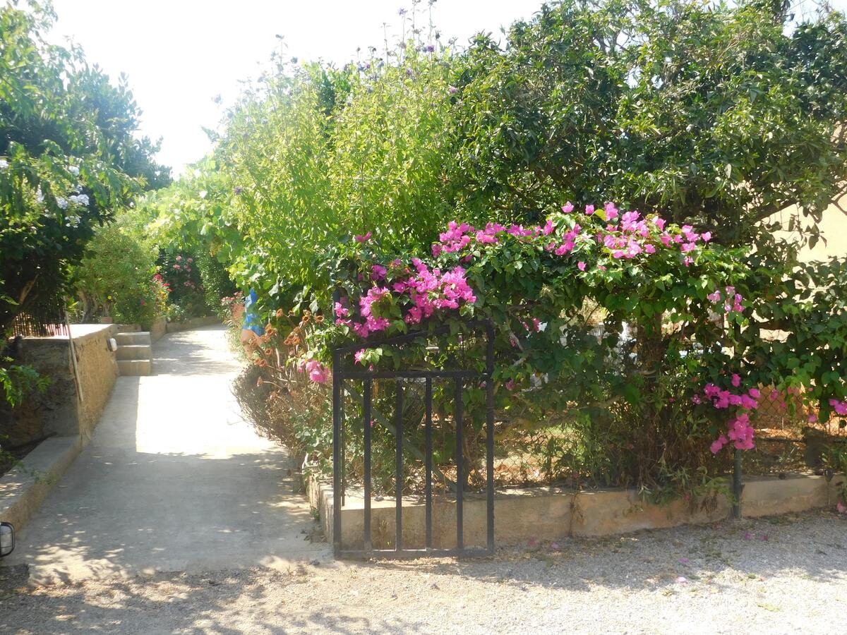 Villa 8 pers. avec piscine privée à Sant Miquel de Balansat - Photo 43