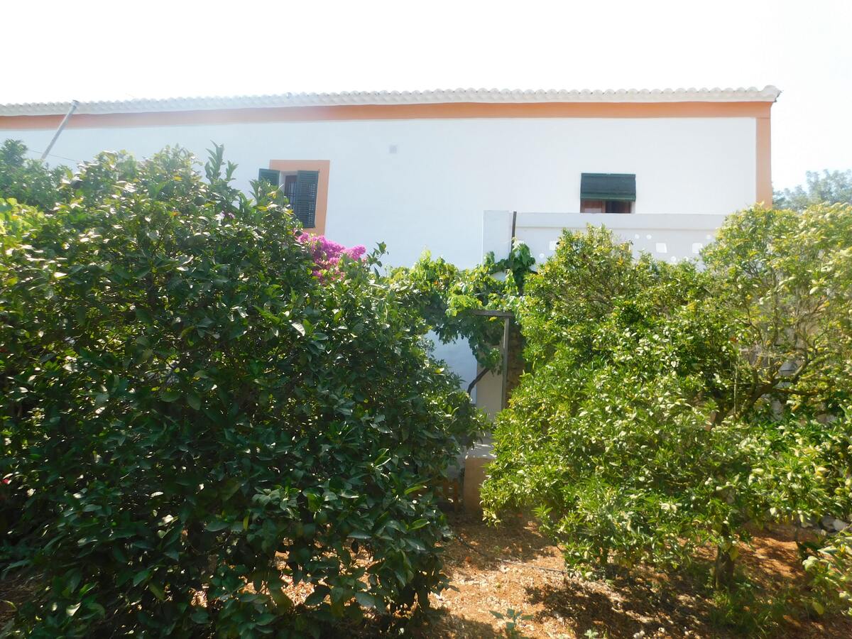 Villa 8 pers. avec piscine privée à Sant Miquel de Balansat - Photo 44