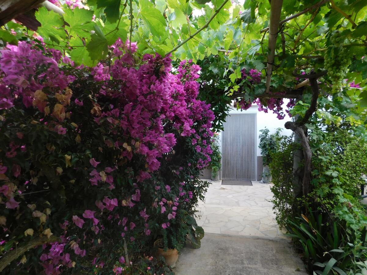 Villa 8 pers. avec piscine privée à Sant Miquel de Balansat - Photo 45