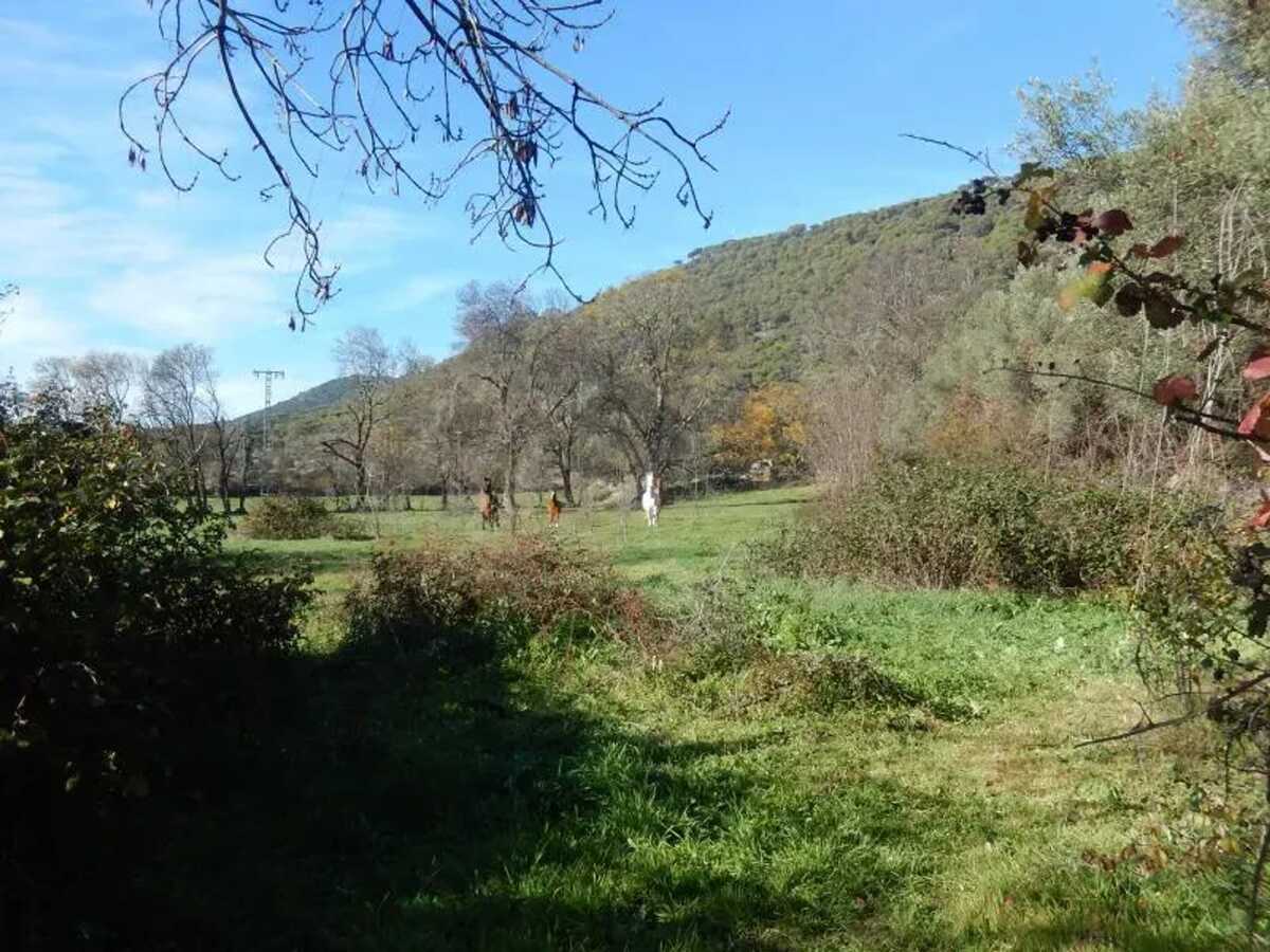 Maison 300m² 16 personnes à Cenicientos, vue montagne - Photo 33