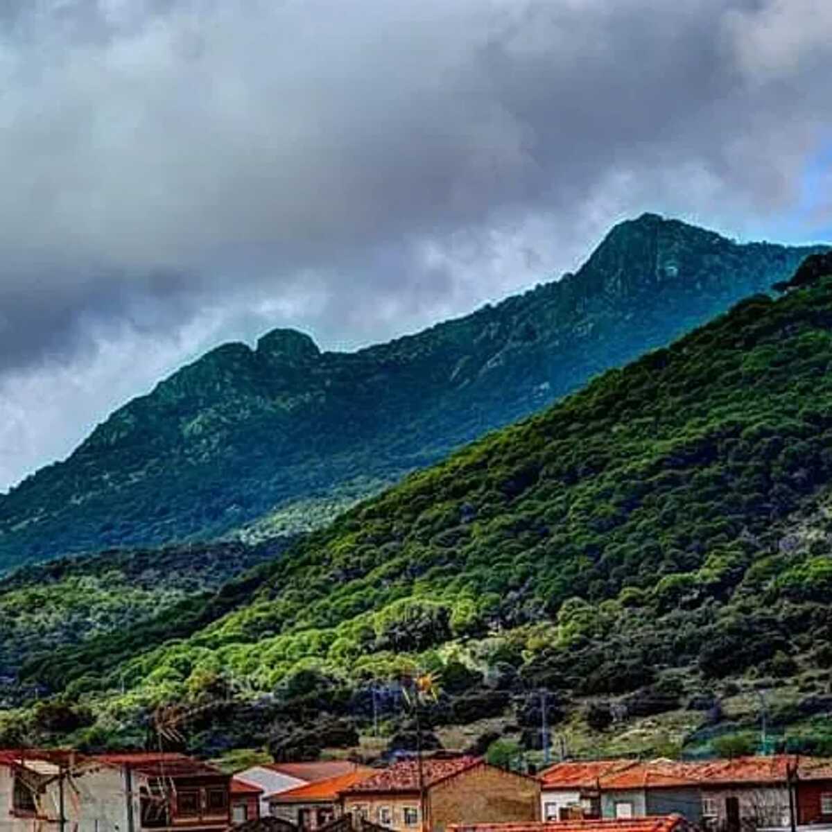 Maison 300m² 16 personnes à Cenicientos, vue montagne - Photo 34