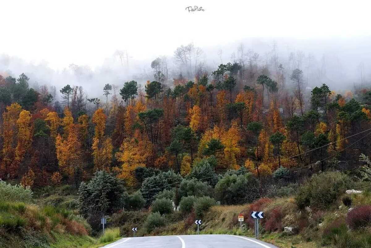 Maison 300m² 16 personnes à Cenicientos, vue montagne - Photo 41