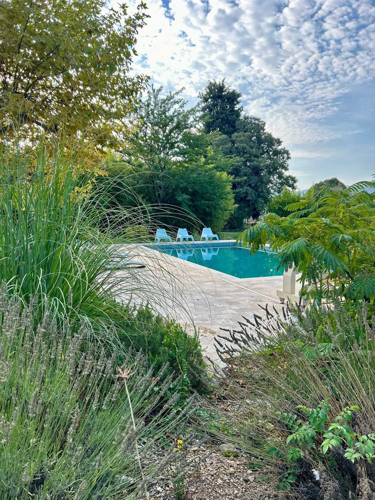 Villa Provençale 7 chambres, piscine et jardin 8000 m² - Photo 17