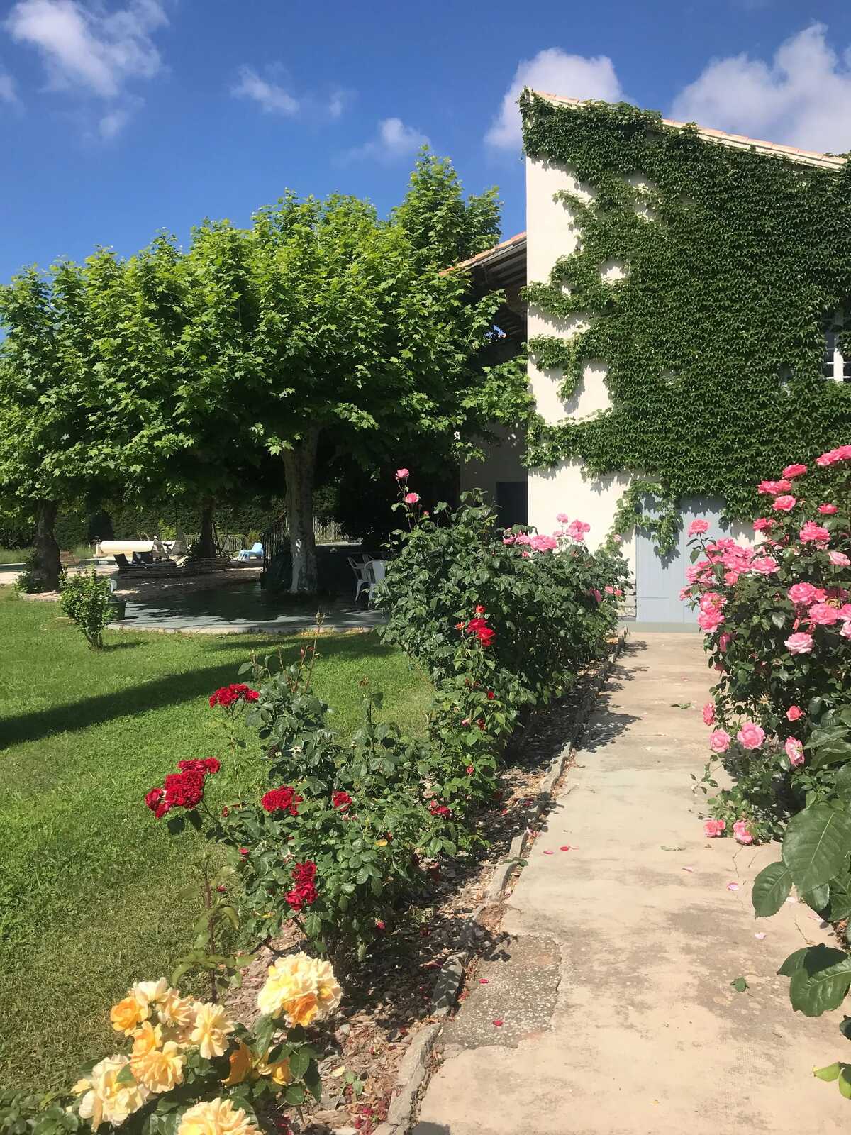 Villa Provençale 7 chambres, piscine et jardin 8000 m² - Photo 35