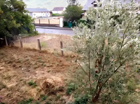 Appartement confortable à Châteaudun avec jardin, 53 m² - Photo 9