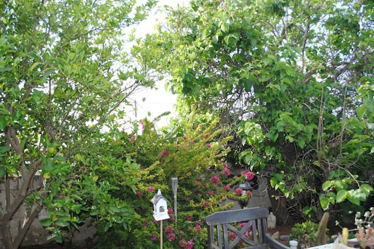 Maison 80 m² La Sabinita, vue montagne et jardin privé - Photo 23