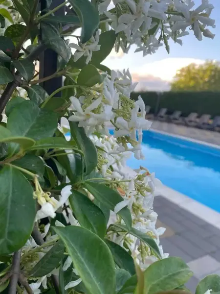 Maison avec piscine privée et jardin clôturé à Enna, 14 personnes : photo 19