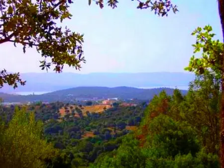 Maison charmante à Alata avec vue sur mer et ville - Photo 15