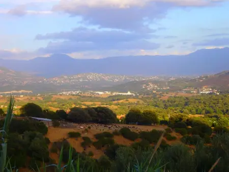 Maison charmante à Alata avec vue sur mer et ville - Photo 19