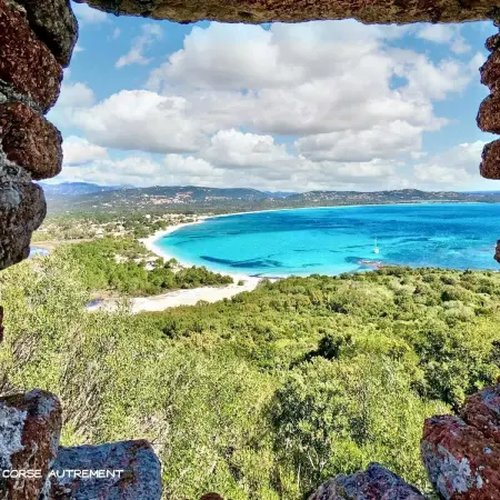 Villa charmante à Porto-Vecchio avec vue sur la montagne. - Photo 29