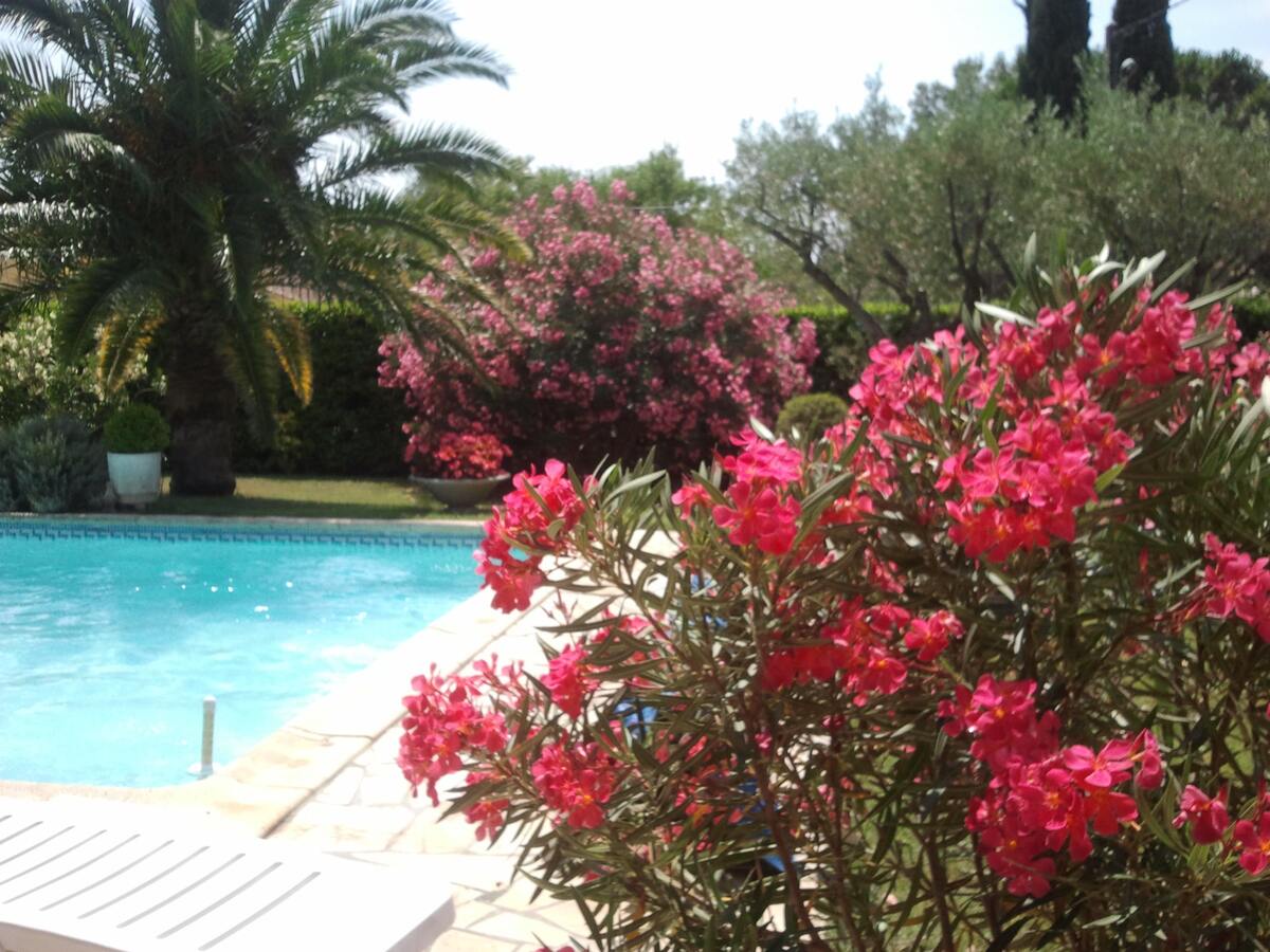 Maison avec piscine privée chauffée à Orange, jardin et 3 chambres - Photo 6