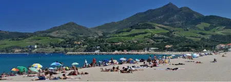 Maison avec piscine partagée et terrasse à Argelès-sur-Mer : photo 11