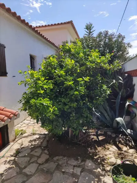 Villa charmante à L'Escala, piscine privée et vue sur mer - Photo 28