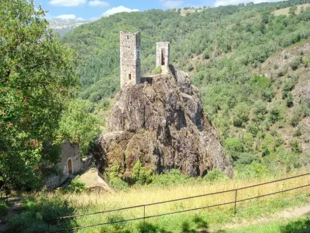 Maison avec jardin clos sans vis-à-vis à Peyrusse le Roc : photo 11