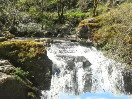 Maison avec jardin clos sans vis-à-vis à Peyrusse le Roc : photo 12