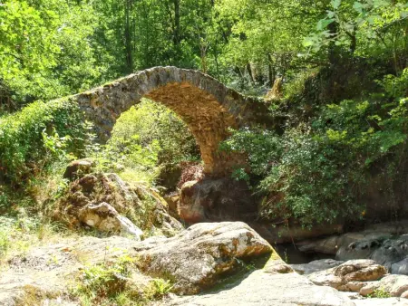 Maison avec jardin clos sans vis-à-vis à Peyrusse le Roc : photo 13