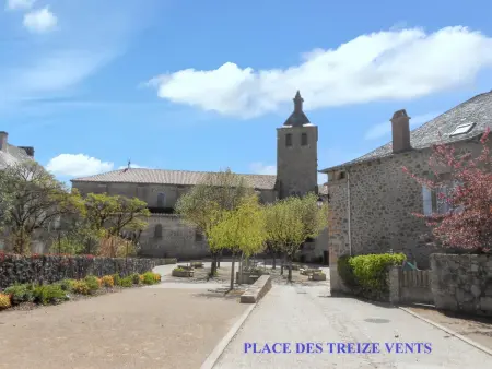 Maison avec jardin clos sans vis-à-vis à Peyrusse le Roc : photo 14